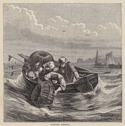 Hummerfiske (färgad gravyr) av Friedrich Specht