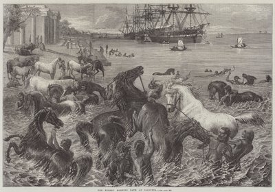 Hästarnas morgonbad i Calcutta av Friedrich Wilhelm Keyl