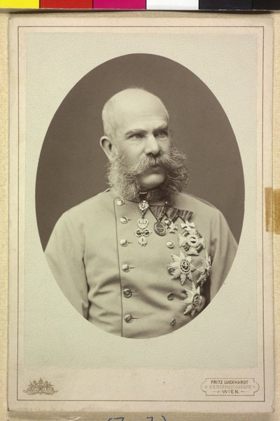 Franz Joseph I av Fritz Luckhardt