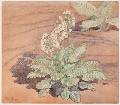 Odlar cowpea i solsken av Fritz Syberg