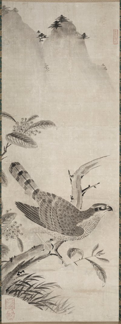 Hök av Fujiwara Masayoshi