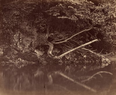 River Bank i Vale of Neath av G.B. Gething