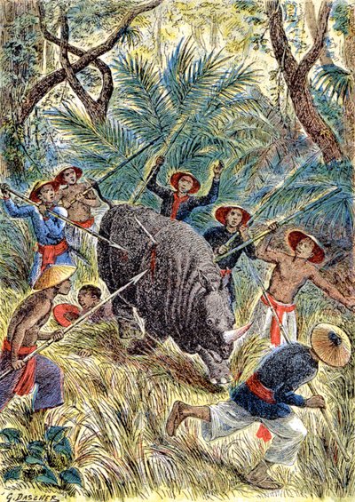 Jakt på noshörning, Franska Indokina, ca 1900 (illustration) av G. Dascher