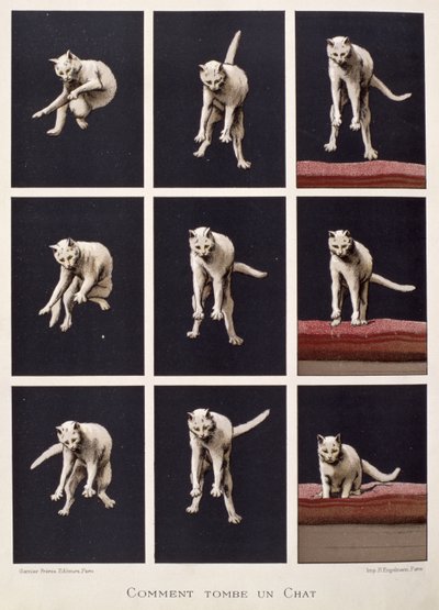Hur en katt faller, från Les Dernieres Merveilles de la Science av Daniel Bellet (kromolit) av G. Lasellaz
