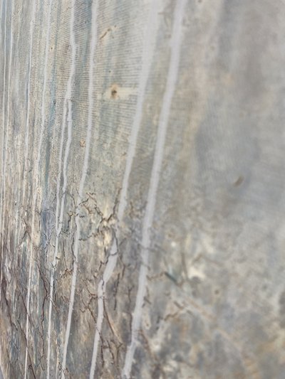  av Gabriela Aleksandra Szuba