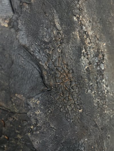  av Gabriela Aleksandra Szuba