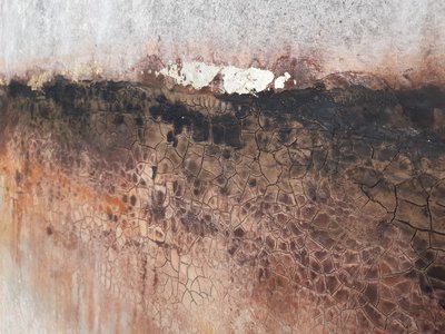  av Gabriela Aleksandra Szuba