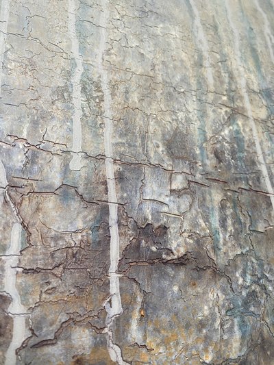  av Gabriela Aleksandra Szuba