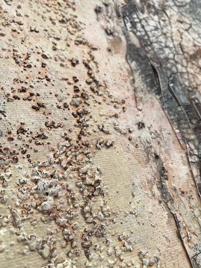  av Gabriela Aleksandra Szuba