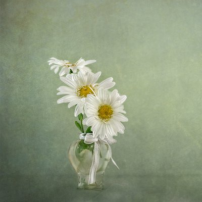  av Gaille Gray