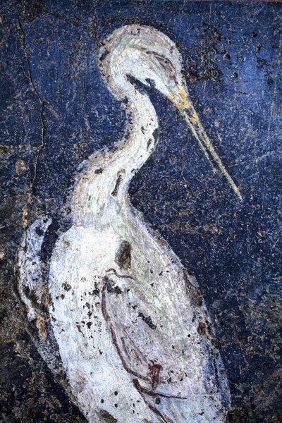 Romersk väggmålning av Gallo-Roman