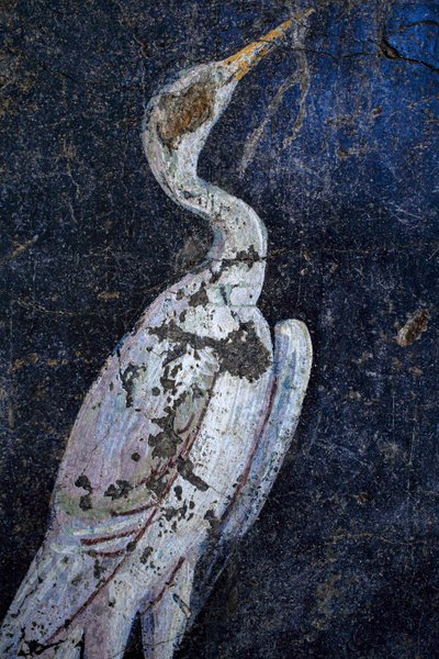 Romersk väggmålning av Gallo-Roman