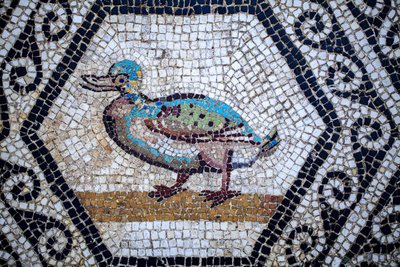 Romersk mosaik av Gallo-Roman Gallo-Roman
