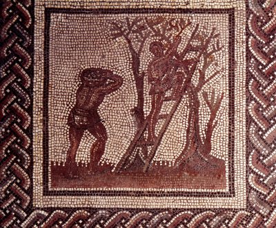 Gallo Roman Art: mosaikbeläggning som representerar en rustik kalender. Olivplockningsscen. Slutet 2:a, början av 300-talet efter JC. Från Saint-Romain-en-Gal (Rhone). Saint Germain en Laye, Nationalmuseet för arkeologi av Gallo Roman