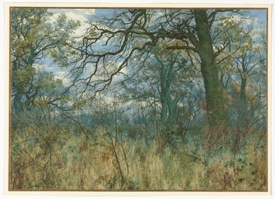 Träd och undervegetation, 1885. av Garden William Fraser