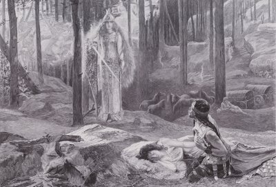 Uppenbarelsen (Brunnhilde upptäcker Sieglinde och Siegmund) (litho) av Gaston Bussiere