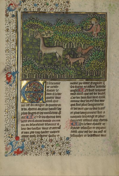 Jagens bok av Gaston Phébus