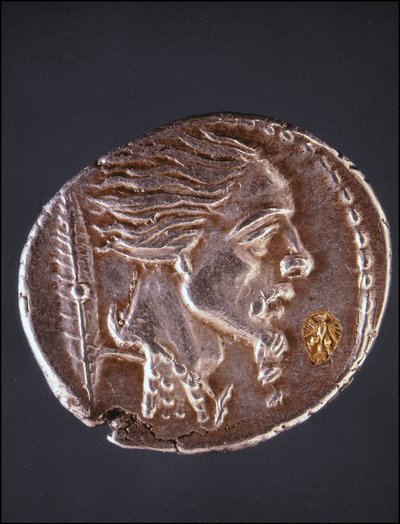 Förmoda profil av Vercingetorix på ett Gauloise-stycke. Medaljsamlingens museum. Milano av Gaulish Gaulish