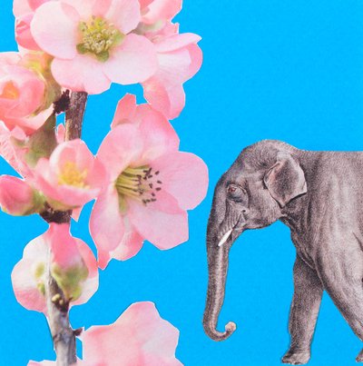 Elefantblomma, 2018, collage av Genevieve French