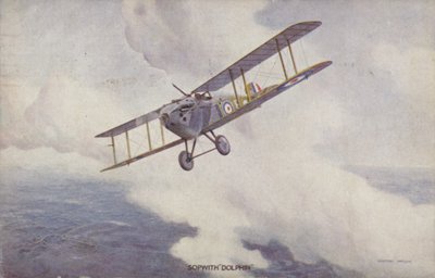 Sopwith Dolphin jaktplan (färg litho) av Geoffrey (after) Watson