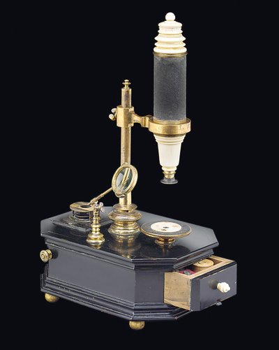 Sammansatt lådmikroskop, c.1775 (trä, metall och glas) (se även 1113959-61) av Georg Friedrich Brander