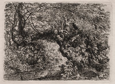 Den gamla pilen vid en bäck, 1794. av Georg von Dillis