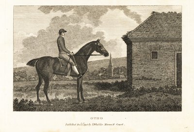 Porträtt av fullblods tävlingshästen Otho av George (after) Stubbs