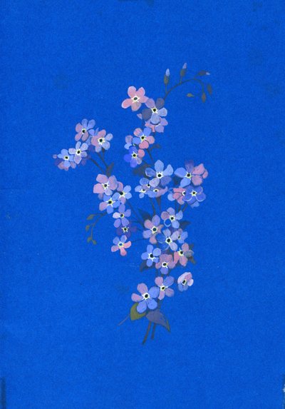 Förgätmigej, 1960-talet (gouache på färgat kort) av George Adamson