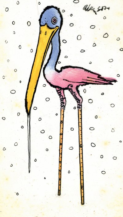 Stork med kalibrerade skaft, 1970-tal (indian bläck på transparens över gouache på kort) av George Adamson