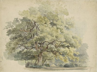 Trädstudie av George Andries Roth