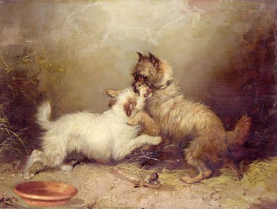 Tvistens kärna av George Armfield