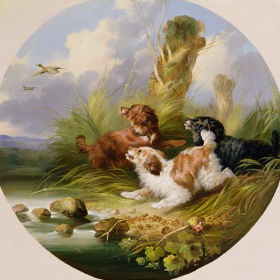 Three Spaniels Flushing Mallard (olja på duk) av George Armfield