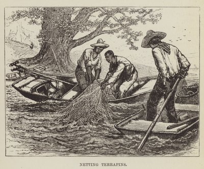 Nätterrapins av George Augustus Sala