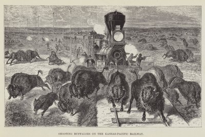 Att skjuta bufflar på Kansas-Pacific Railway av George Augustus Sala