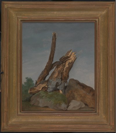 Studie av stenar och grenar av George Augustus Wallis