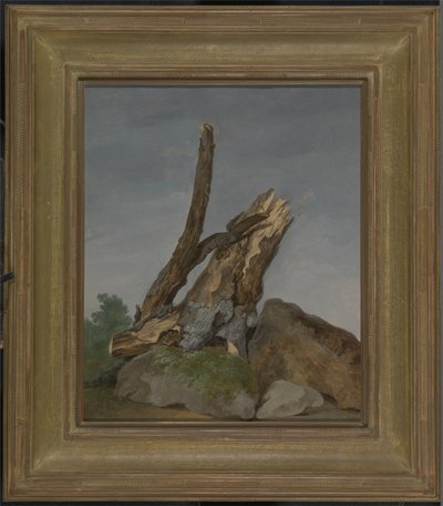Study of Rocks and Branches, c.1795 (olja på papper) av George Augustus Wallis