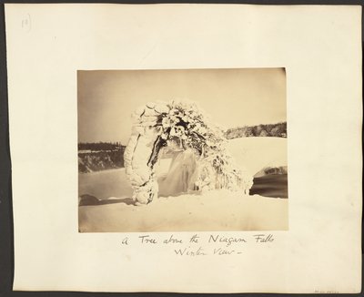 Ett träd ovanför Niagarafallen av George Barker