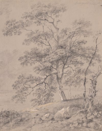 Trädstudie av George Barret