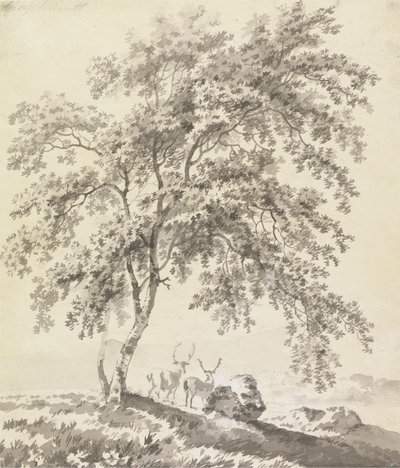 Trädstudie med stags (landskap) av George Barret