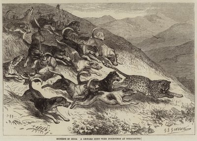 Jakt i Indien, leopardjakt med rävhundar i Ootacamund av George Bouverie Goddard