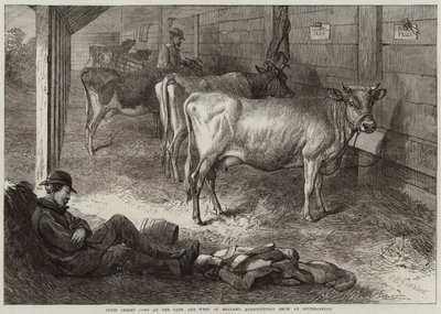 Pris Jersey-kor på Bath and West of England Agricultural Show i Southampton av George Bouverie Goddard