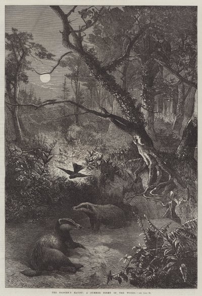 Grävlingens tillhåll, en sommarnatt i skogen av George Bouverie Goddard