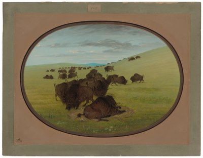 En buffelvalla av George Catlin