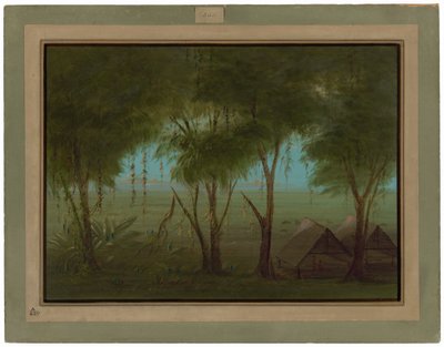 En conniboby av George Catlin