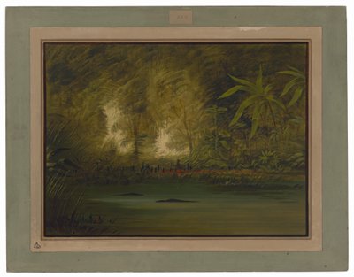 En lagun i övre Amazonas av George Catlin
