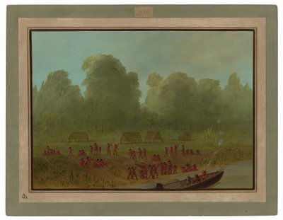 En Mayoruna-by av George Catlin