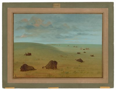 swedish av George Catlin