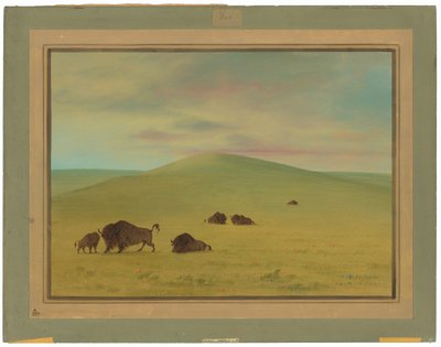 American Pasturage - Plattens prärier av George Catlin