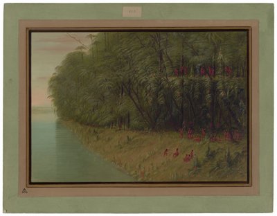 En Amazonasskog - Tittar iland av George Catlin