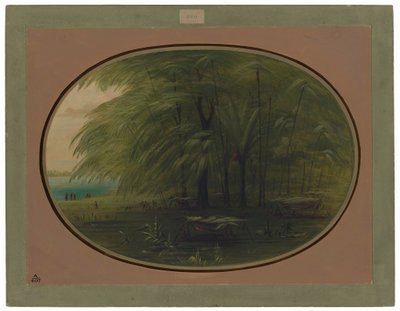 En indisk by - Amazonas kust av George Catlin